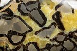 Gorgeous, Polished Septarian Stone - Madagascar #341872-1